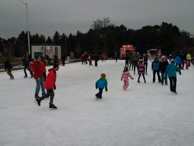 Photo of Lansdowne Skating Court